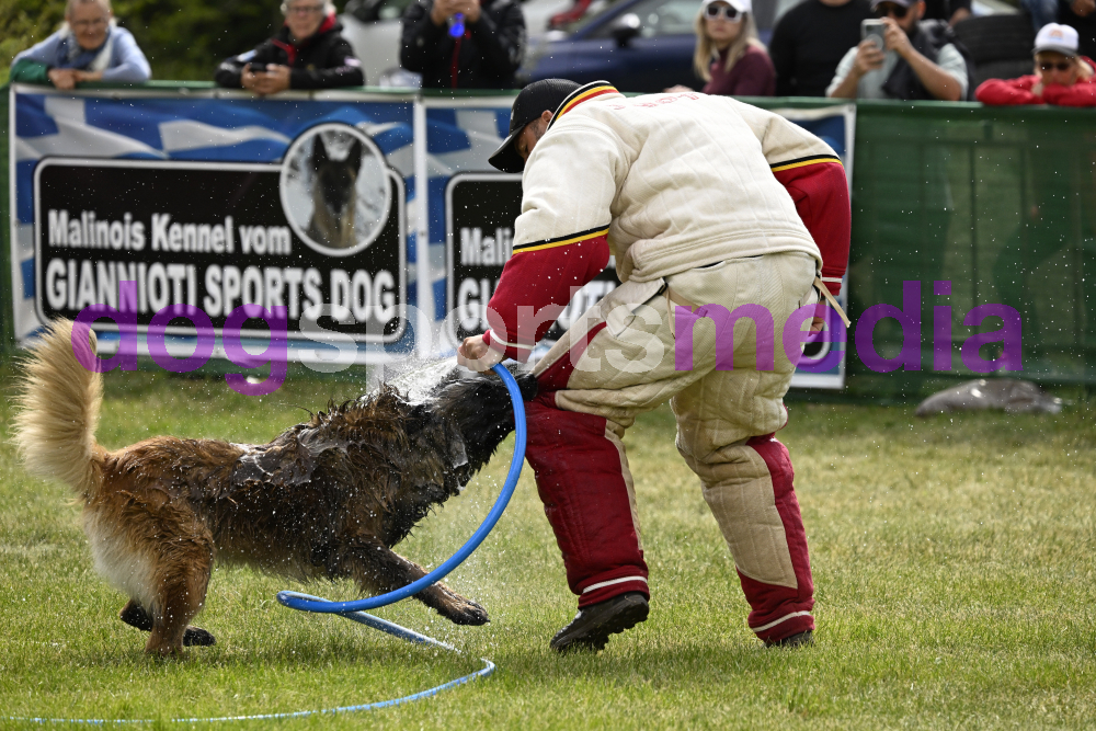 Preview _JRI_19850.jpg